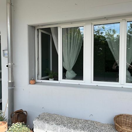 Studio In Neuem Efh Elsau Экстерьер фото